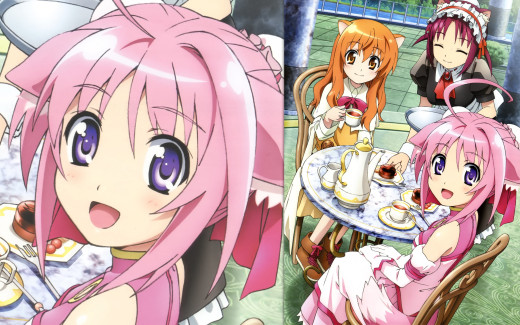 342497 (a): :2560x1600